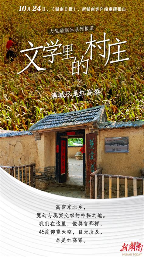 高密女人|“文学里的村庄”：满城尽是《红高粱》